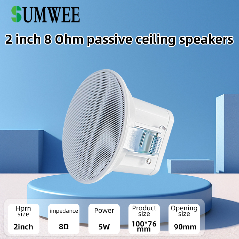 Audio Music System For Home - 2-Zoll Mini 8 Ohm Deckenlautsprecher Hintergrundmusik