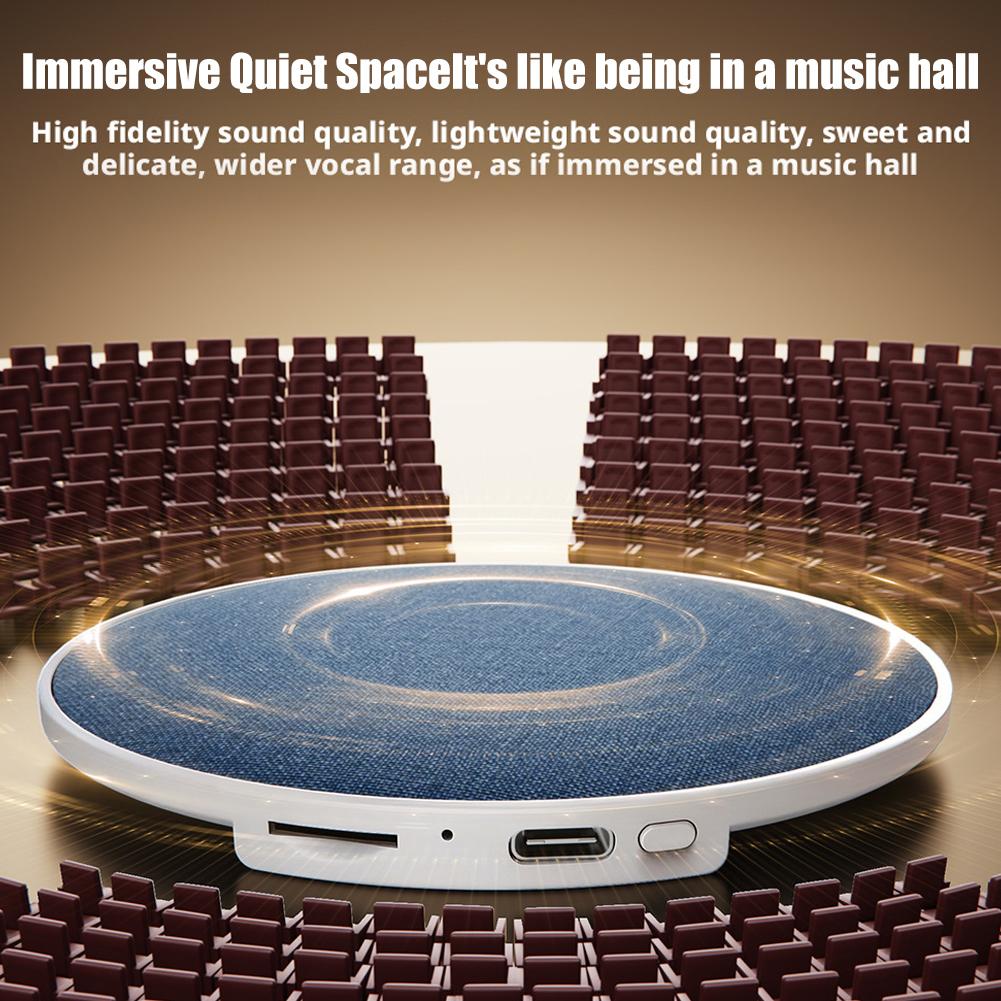 Schlaf-White-Noise-Lautspreche – Audio Music Enhancer Bewertung und Preis
