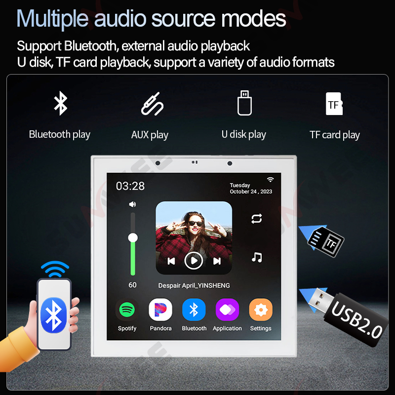 WLAN-fähiger Smart-Audio-Wandv – Audio Music System For Home Bewertung und Preis